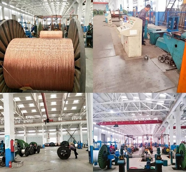 春暖花開 青島華強電纜在第一季度再創(chuàng)佳績